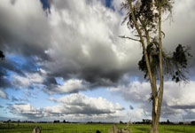 开云体育在线-利物浦鏖战韩国，哈里·凯恩爆发神勇——足坛热血史诗的精彩再现