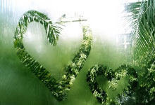 开云体育官网-魔术爆冷雷霆，库里爆发神勇——NBA赛场上的精彩瞬间